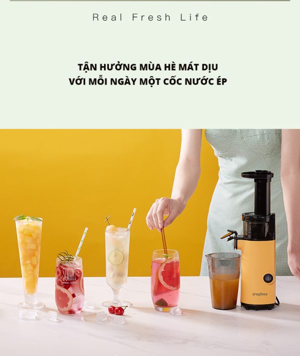 Máy ép chậm SnapBee SK-202VN - Ép rau củ quả siêu kệt bã - Thương Hiệu Mỹ
