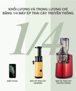 Máy ép chậm SnapBee SK-202VN - Ép rau củ quả siêu kệt bã - Thương Hiệu Mỹ
